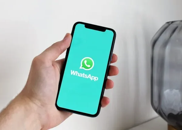 WhatsApp: Using Dialogue Themes to Showcase One’s Unique Personality