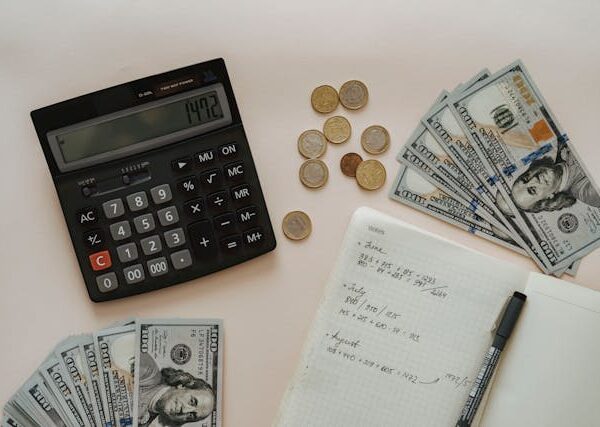 Use These Top Large Cap Mutual Funds to Increase Your Gains 