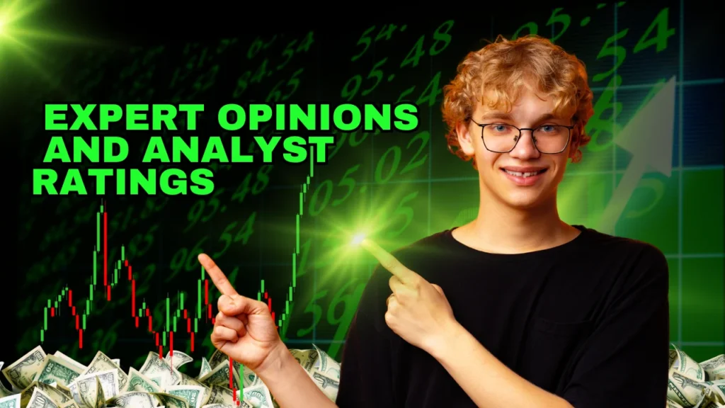 ceinsys tech share price and Expert Opinions and Analyst Ratings