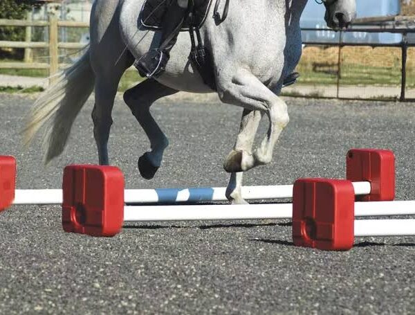 Using Cavaletti to Improve Jumping Technique and Confidence