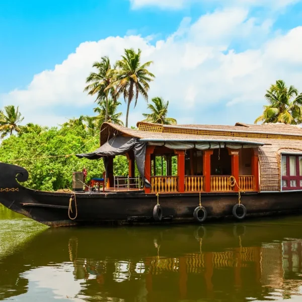 Experience the Magic of Kerala: Nature, Culture, and Coastal Bliss