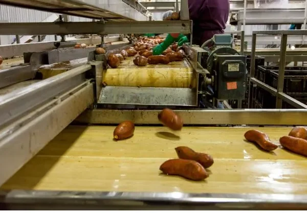 Guide to Choosing the Right Food Machinery for Your Business