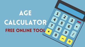 Accurate Age Calculator Online  Instantly Calculate Your Age at AgeCalculator.ws