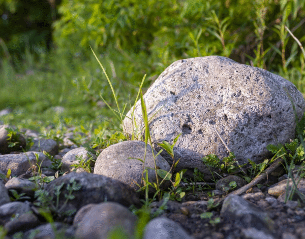 Transforming Minnesota Landscapes With Natural Stone