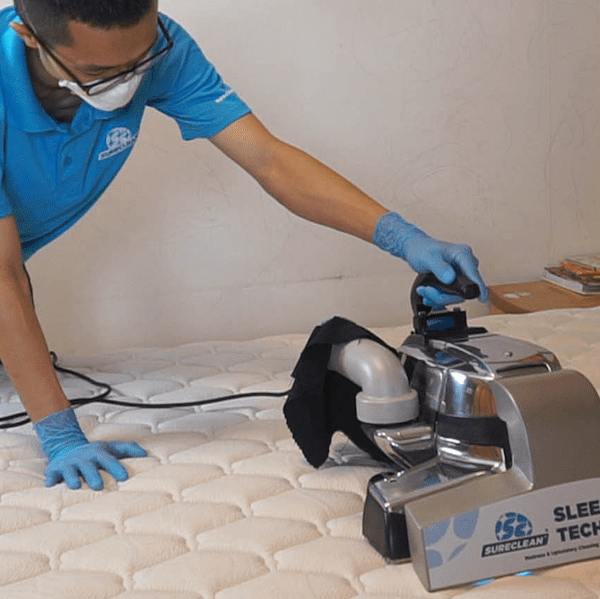 Why Condo Cleaning Services Singapore Are a Must for Busy Professionals