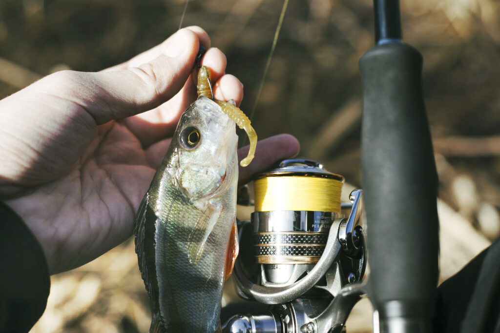 Beginner’s Guide to Saltwater Fishing Reels