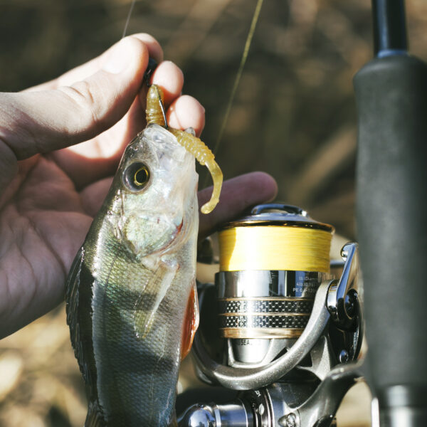Beginner’s Guide to Saltwater Fishing Reels